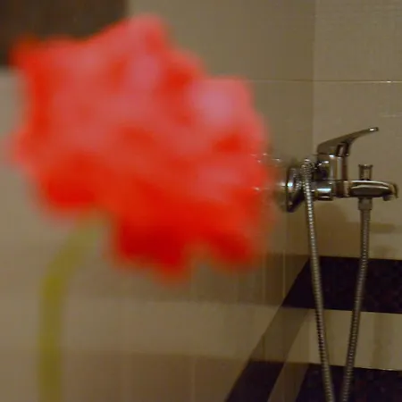 Alisahni Studio Apartment *